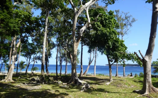 RARE COASTAL OPPORTUNITY IN PANGONA ESTATE