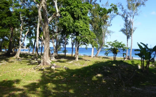 RARE COASTAL OPPORTUNITY IN PANGONA ESTATE