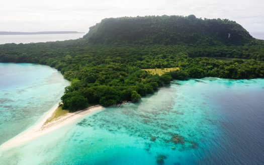 Dolphin Island