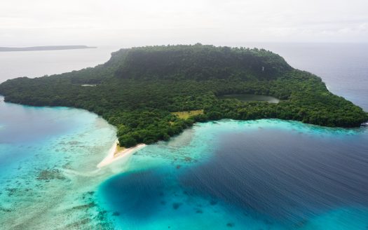 Dolphin Island
