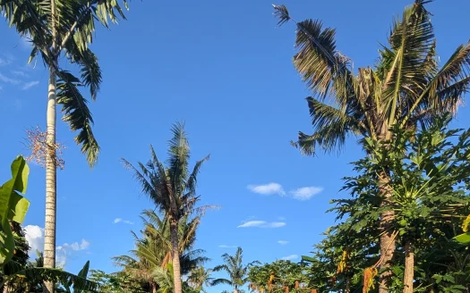 Lagoonfront Living at Club Hippique – Your Island Escape