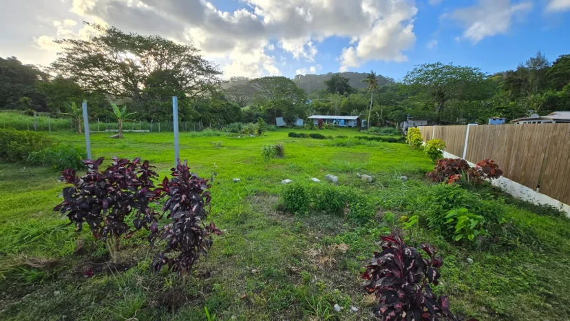 Island Living with Ocean Glimpses & Future Potential