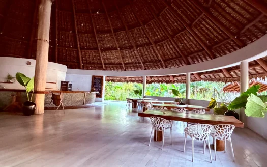 A Rare Beachfront Resort Investment in Vanuatu
