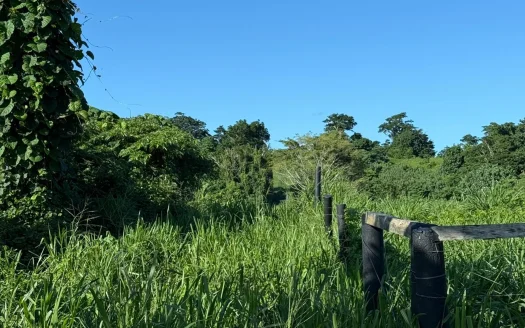 Land for Sale – 130 Hectares in Rentapau