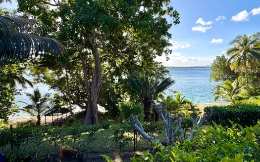 Aore Hibiscus Retreat – Tropical Island Lifestyle Investment