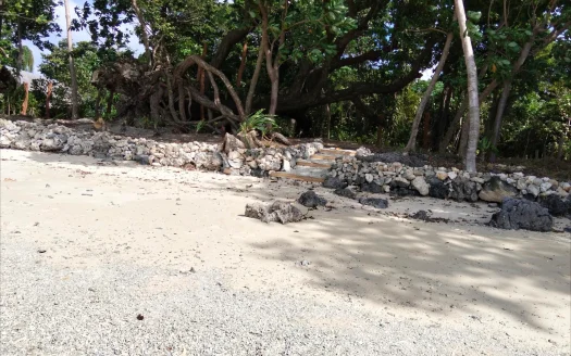 An Island Opportunity with Vision Already in Motion