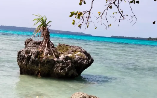 An Island Opportunity with Vision Already in Motion