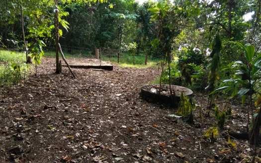 An Island Opportunity with Vision Already in Motion