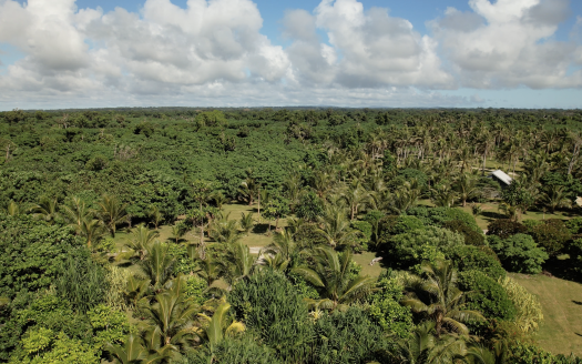 Beachfront Land on Efate’s East Coast | 16 Blocks From AUD $165,000