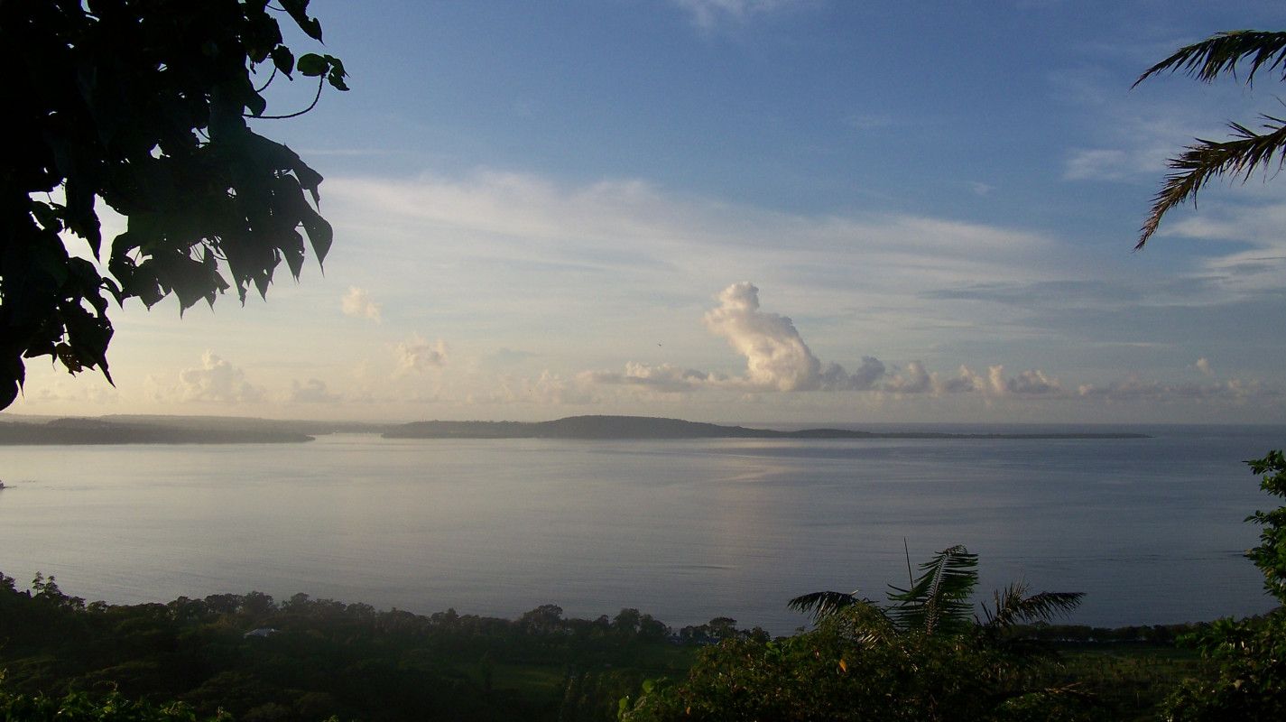 video image